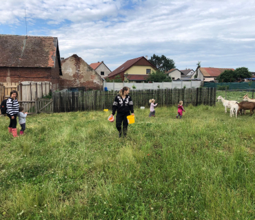 22.6.2020 - návštěva u koziček