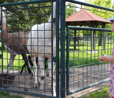 16.6.2020 - výlet do Častolovic