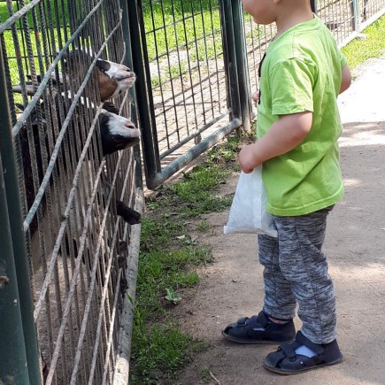 16.6.2020 - výlet do Častolovic