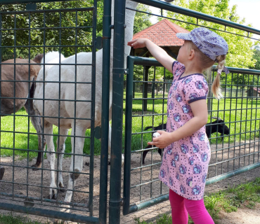 16.6.2020 - výlet do Častolovic