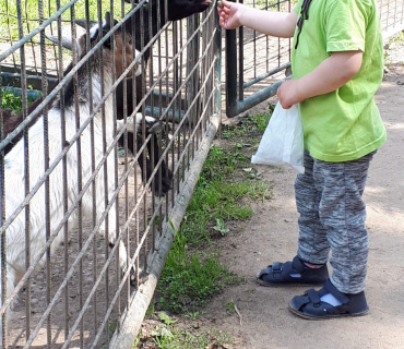 16.6.2020 - výlet do Častolovic