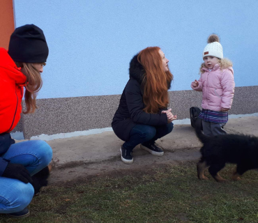 14.1.2020 - štěňátkový Dvoreček