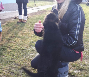 14.1.2020 - štěňátkový Dvoreček