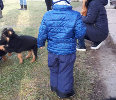 14.1.2020 - štěňátkový Dvoreček