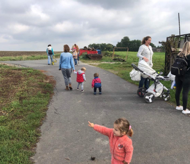 10.9.2019 - šipkovaná