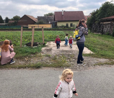 10.9.2019 - šipkovaná