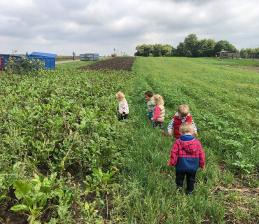 10.9.2019 - šipkovaná