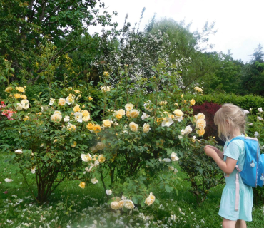 18.6.2019 - Častolovice