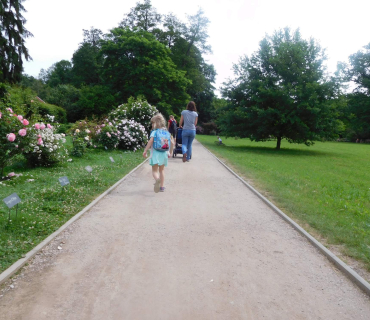 18.6.2019 - Častolovice