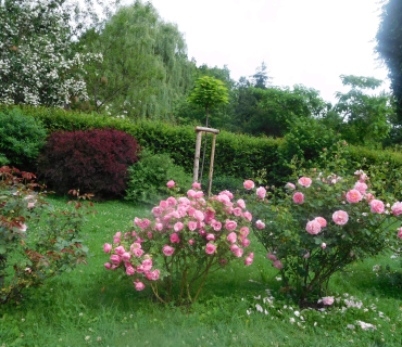 18.6.2019 - Častolovice