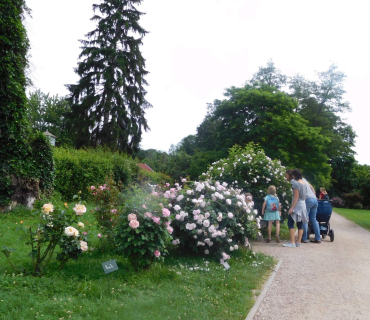 18.6.2019 - Častolovice