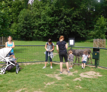 18.6.2019 - Častolovice