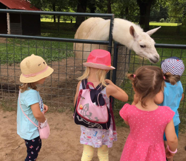 18.6.2019 - Častolovice