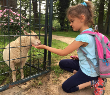18.6.2019 - Častolovice
