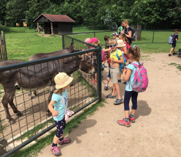18.6.2019 - Častolovice
