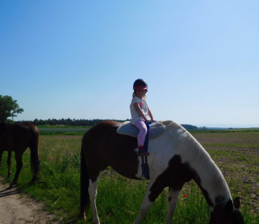 4.6.2019 - koníkový Dvoreček