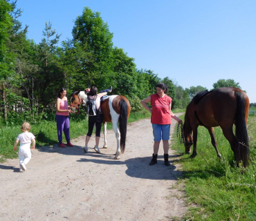 4.6.2019 - koníkový Dvoreček