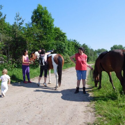 4.6.2019 - koníkový Dvoreček