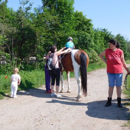 4.6.2019 - koníkový Dvoreček