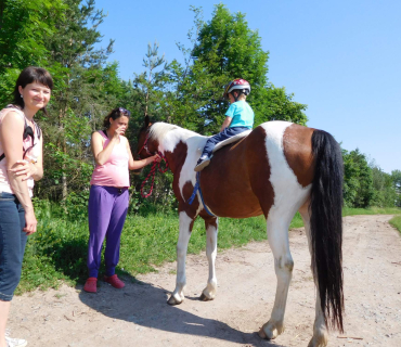 4.6.2019 - koníkový Dvoreček