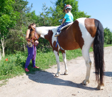 4.6.2019 - koníkový Dvoreček