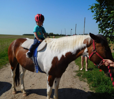 4.6.2019 - koníkový Dvoreček