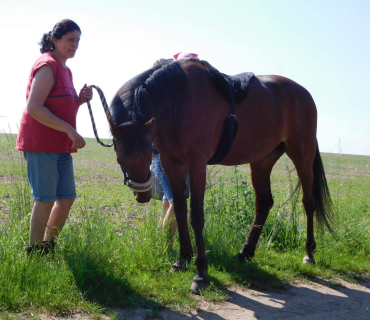 4.6.2019 - koníkový Dvoreček