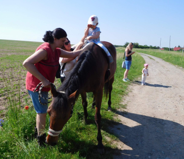 4.6.2019 - koníkový Dvoreček