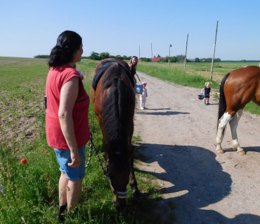 4.6.2019 - koníkový Dvoreček