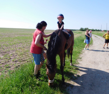 4.6.2019 - koníkový Dvoreček