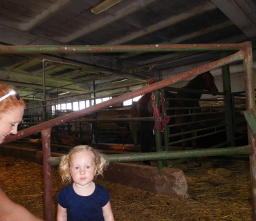 4.6.2019 - koníkový Dvoreček