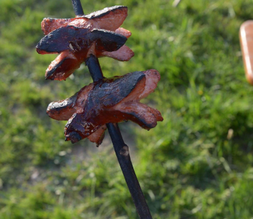 30.4.2019 - Pálení čarodějnic