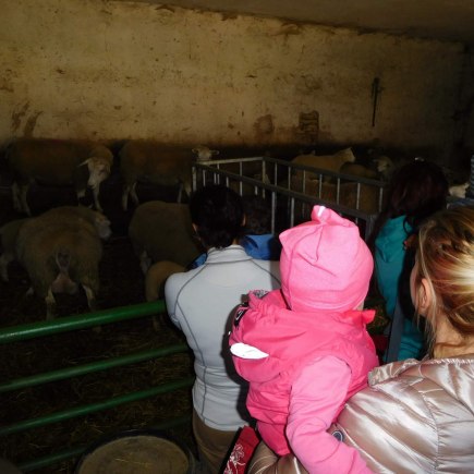 16.4.2019 - Hledání vajíček a výprava za ovečkami