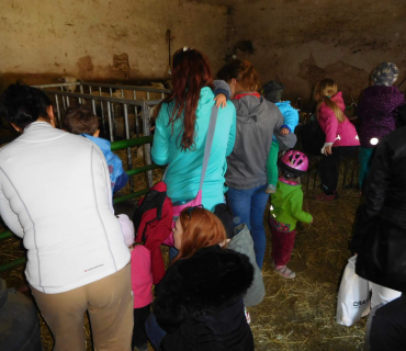 16.4.2019 - Hledání vajíček a výprava za ovečkami