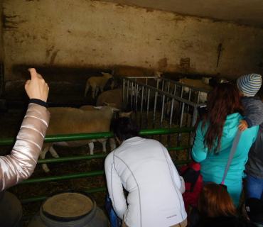 16.4.2019 - Hledání vajíček a výprava za ovečkami