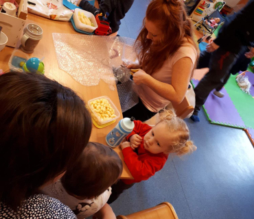 29.1.2019 - Sněhulákový Dvoreček