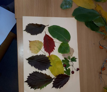 Dvoreček 25.9.2018 - Podzimní výzdoba