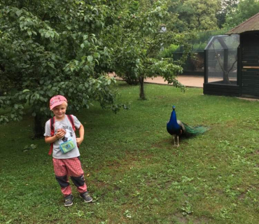 Dvoreček 12.6.2018 - Častolovice