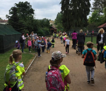 Dvoreček 12.6.2018 - Častolovice