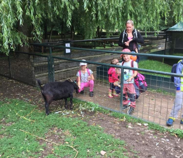 Dvoreček 12.6.2018 - Častolovice