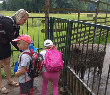 Dvoreček 12.6.2018 - Častolovice