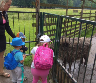 Dvoreček 12.6.2018 - Častolovice