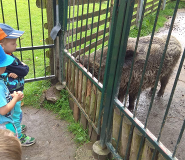 Dvoreček 12.6.2018 - Častolovice