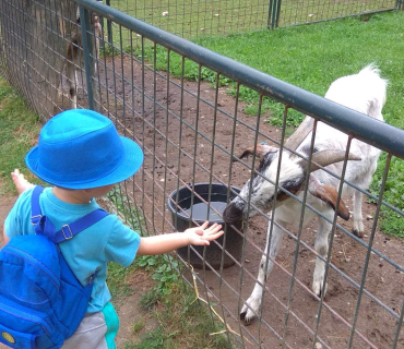 Dvoreček 12.6.2018 - Častolovice