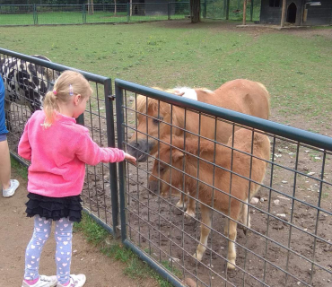 Dvoreček 12.6.2018 - Častolovice