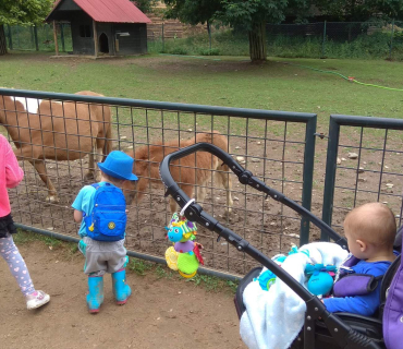 Dvoreček 12.6.2018 - Častolovice