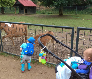 Dvoreček 12.6.2018 - Častolovice