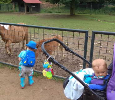 Dvoreček 12.6.2018 - Častolovice