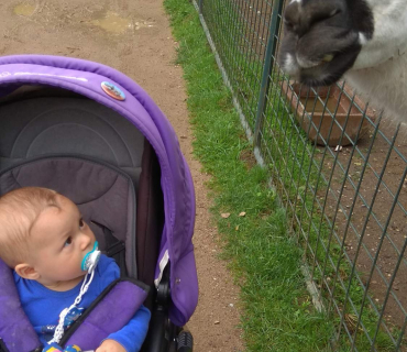 Dvoreček 12.6.2018 - Častolovice