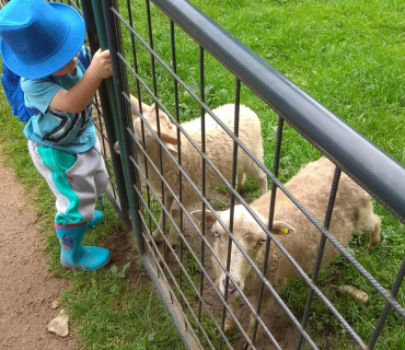 Dvoreček 12.6.2018 - Častolovice